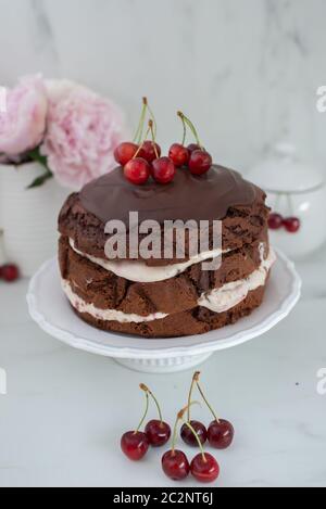 gâteau au chocolat noir de la forêt avec tarte aux cerises et glaçage au chocolat noir Banque D'Images