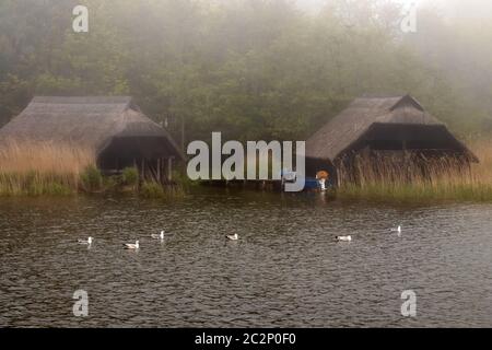 Maisons 001. Fischland Darss Zingst. Allemagne Banque D'Images