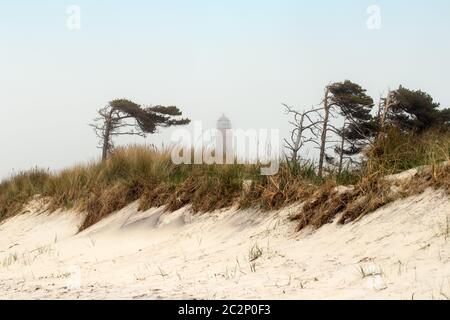 Phare 001. Fischland Darss Zingst. Allemagne Banque D'Images