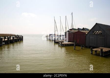 Paysage 010. Fischland Darss Zingst. Allemagne Banque D'Images