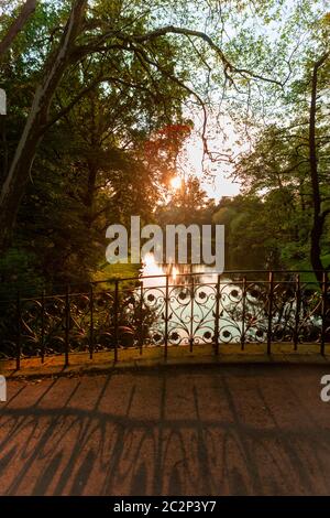 Petit pont sur la rivière en forêt sur fond de coucher de soleil Banque D'Images