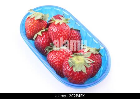 fraises dans la casserole en plastique bleu Banque D'Images