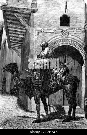 Les véhicules de la grande Sahara. Le chef de la caravane, vintage engraved illustration. Journal des voyages, Journal de voyage, (1879-1880). Banque D'Images