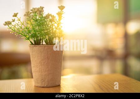 Fausses fleurs blanches avec feuilles vertes dans pot en papier recyclé sur table en bois marron dans café le matin avec le soleil. Fleur en plastique dans le pot. Banque D'Images