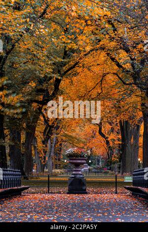 Couleur du feuillage d'automne de Central Park à Manhattan Banque D'Images