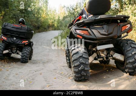 Deux cavaliers en quad randonnées casques dans la forêt, vue de dos. Équitation sur ATV Offroad, sport extrême et de voyage, aventure quadbike Banque D'Images