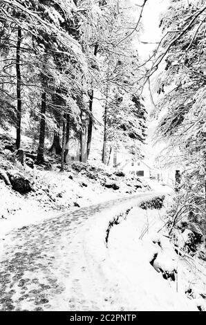 Randonnée pédestre épique montagne aventure en plein air à l'ancienne mine de sel de Hallstatt passer la forêt de pins et hiver neige paysage de montagne adden Banque D'Images