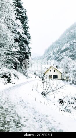 Promenade randonnée épique montagne aventure en plein air à destination l'ancienne mine de sel de Hallstatt passe la forêt de pins et le paysage de montagne neige d'hiver o Banque D'Images