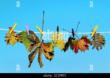 Des feuilles d'automne colorées sur une corde à linge contre le ciel bleu Banque D'Images