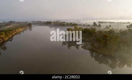 Brouillard matinal sur la Murray River près de Mildura, Victoria, Australie. Banque D'Images