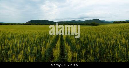 Hulunbuir root River City carew Rush montagne paysage Banque D'Images