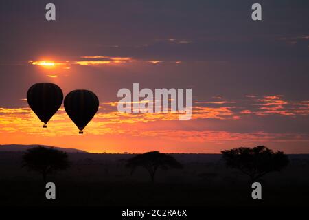 L'aube à Serengeti National Park, Tanzania, Africa. Montgolfières sur sky. Panorama de l'Afrique Banque D'Images