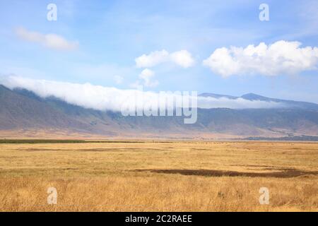 Ngorongoro Crater beau paysage, la Tanzanie, l'Afrique. Zone de conservation de Ngorongoro panorama Banque D'Images