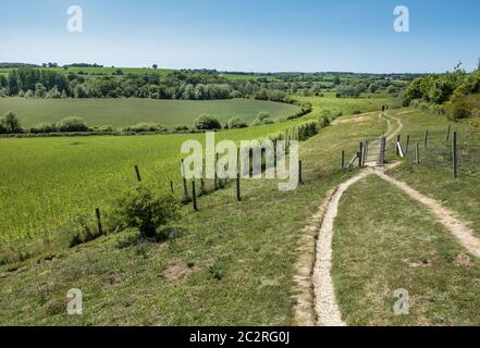 Le chemin de la voie d'essai près du village de Wherwell, Hampshire, Angleterre, Royaume-Uni Banque D'Images