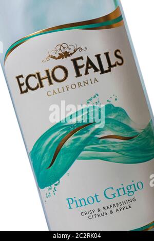 Étiquette sur Echo Falls California Pinot Grigio croustillant et rafraîchissant bouteille de vin blanc aux agrumes et aux pommes - produit de California USA American Banque D'Images