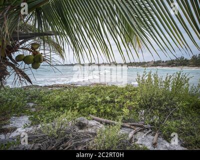 Vue sur la plage naturelle de Xpu-Ha dans la Riviera Maya au Mexique sous un ciel nuageux d'hiver. Banque D'Images