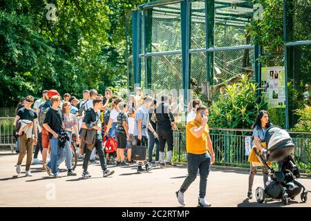 Lyon France , 11 juin 2020 : personnes devant une cage au zoo de Lyon de la tête d’Or jardin public après le week-end de réouverture en France Banque D'Images