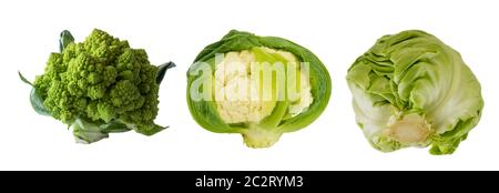 Différents types de chou. Brocoli, chou-fleur et chou isolés sur fond blanc. Avec espace de copie pour le texte. Сabbage avec espace de copie pour le texte Banque D'Images