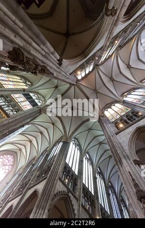 Plafond de l'intérieur et les colonnes de la cathédrale de Cologne Banque D'Images