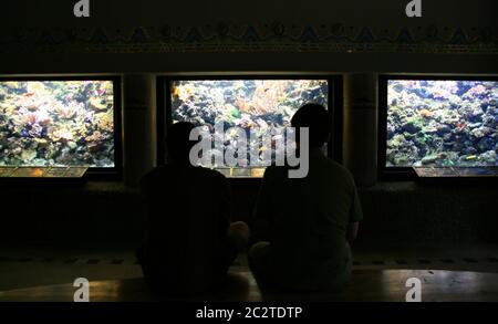 Deux spectateurs en aquarium hall Banque D'Images