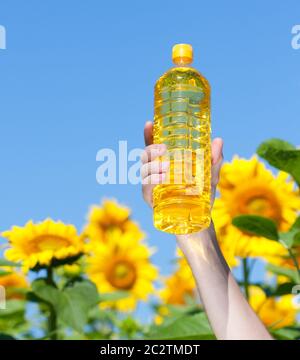 Main tenant une bouteille d'huile dans le champ de tournesols Banque D'Images