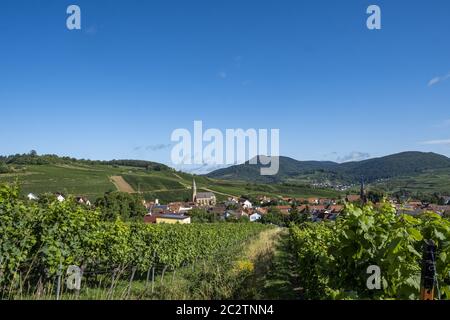 Vue sur le village viticole de Birkweiler Banque D'Images