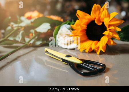 Gros plan de ciseaux noirs sur la table grise contre le tournesol. Banque D'Images