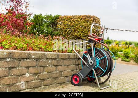 Dévidoir à roulettes pour l'arrosage des plantes ou du jardin. Matériel de jardinage, outils d'eau, tuyau pour l'irrigation, personne Banque D'Images