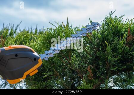 taille-haie électrique sans fil compact sans émission, outil léger portable pour couper les branches dans le jardin, tailler les haies et les buissons verts, w Banque D'Images