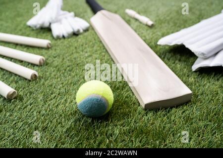 Close-up de Cricket en bois et la balle sur la pelouse Banque D'Images