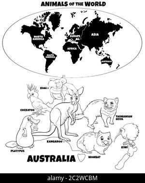 Illustration pédagogique du livre de couleurs des animaux australiens Banque D'Images