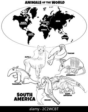 Illustration pédagogique du livre couleur des animaux d'Amérique du Sud Banque D'Images