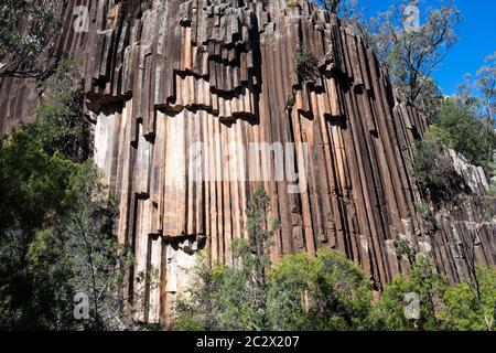 'Awn Rocks' dans Kaputar National Park près de Narrabri, NSW, Australie. Cette caractéristique géologique est appelée "tuyaux d'orgue" Banque D'Images