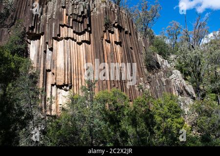 'Awn Rocks' dans Kaputar National Park près de Narrabri, NSW, Australie. Cette caractéristique géologique est appelée "tuyaux d'orgue" Banque D'Images