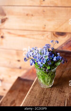 Fleurs sauvages bleues dans une tasse de verre sur fond de bois. Oubliez-moi non. Banque D'Images