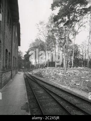 La Croix-Rouge allemande Heinrich Hoffmann photographie 1933 ...