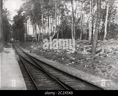 La Croix-Rouge allemande Heinrich Hoffmann photographie 1933 ...