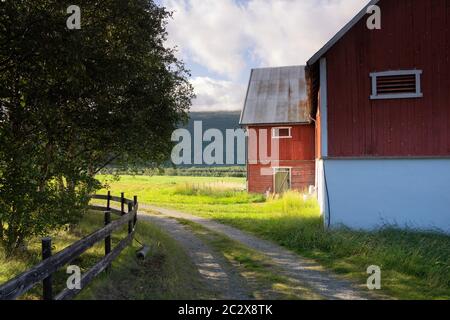 Falured farmbuilding peint près de Lesja dans la région norvégienne Gudbrandsdalen Banque D'Images