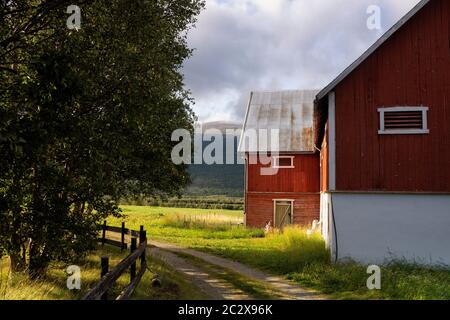 Falured farmbuilding peint près de Lesja dans la région norvégienne Gudbrandsdalen Banque D'Images