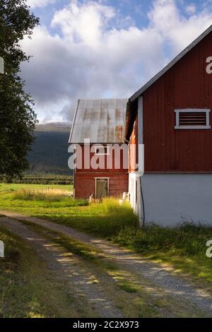 Falured farmbuilding peint près de Lesja dans la région norvégienne Gudbrandsdalen Banque D'Images