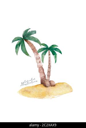 Noix de coco de largeur de palmier tordues isolées sur blanc. Noix de coco sur le sol. Équipe d'été. Banque D'Images