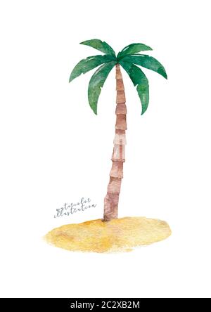 Noix de coco de largeur de palmier tordues isolées sur blanc. Noix de coco sur le sol. Équipe d'été. Banque D'Images