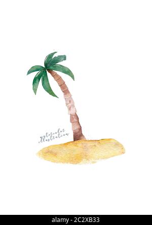 Noix de coco de largeur de palmier tordues isolées sur blanc. Noix de coco sur le sol. Équipe d'été. Banque D'Images