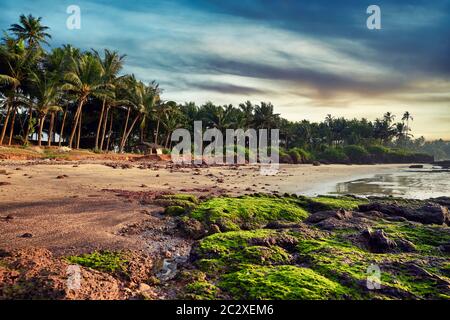 Belle plage tropicale à Goa au coucher du soleil Banque D'Images
