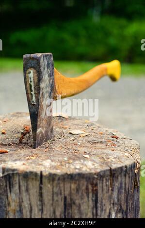 Attention sélective sur la lame à hache coincée dans le vieux bois d'arbre, avec la forêt en arrière-plan. Cette hache est couramment utilisée dans la fabrication et la coupe de bois de chauffage. Banque D'Images