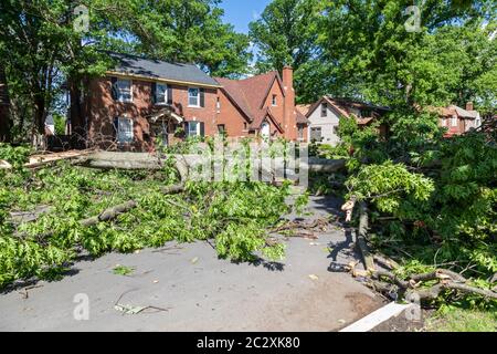 Detroit, Michigan - les vestiges de la tempête tropicale Cristobal ont fait tomber de gros arbres et ont causé des coupures de courant à grande échelle du côté est de Detroit. Banque D'Images