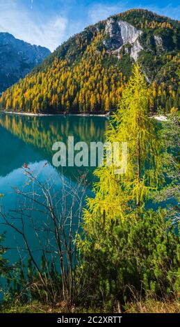 Automne paisible lac alpin Braies ou Pragser Wildsee. Parc national de Fanes-Sennes-Prags, Tyrol du Sud, Alpes Dolomites, Italie, EUR Banque D'Images