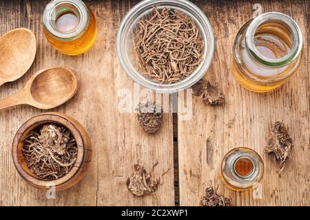 À partir de la teinture médicinale les racines et rhizomes de la valériane. Banque D'Images