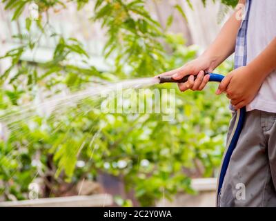 Main d'enfant arroser les plantes et l'herbe du jet de tuyau dans le jardin en été à la maison dans le matin ensoleillé. Plus de maison pour enfant, petit aide à la maison Banque D'Images