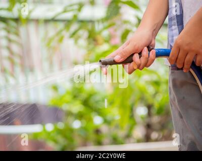 Main d'enfant arroser les plantes et l'herbe du jet de tuyau dans le jardin en été à la maison dans le matin ensoleillé. Plus de maison pour enfant, petit aide à la maison Banque D'Images